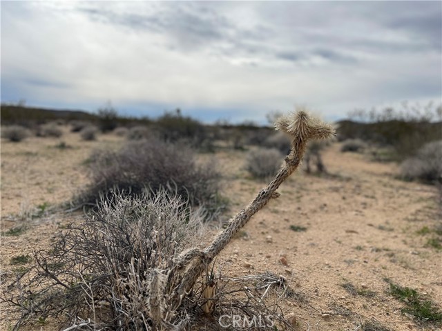 Detail Gallery Image 6 of 12 For 0 Willies Way, Joshua Tree,  CA 92285 - – Beds | – Baths