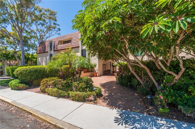 2525 Via Campesina, Palos Verdes Estates CA: https://media.crmls.org/medias/47dbd14a-aaa3-489d-8e68-7df31c2fb2fd.jpg