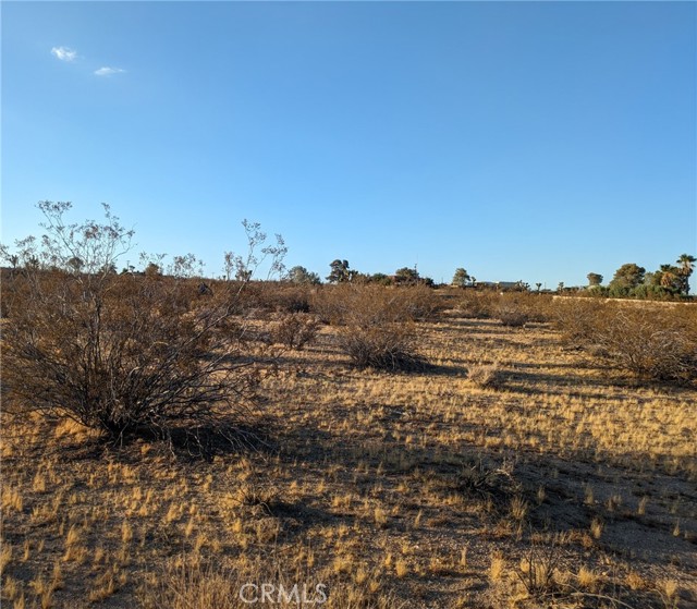 Detail Gallery Image 1 of 12 For 561 Delgada Ave, Yucca Valley,  CA 92284 - – Beds | – Baths