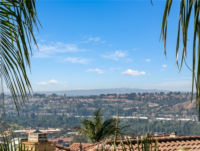 Detail Gallery Image 48 of 50 For 518 S Laureltree, Anaheim,  CA 92808 - 5 Beds | 3 Baths