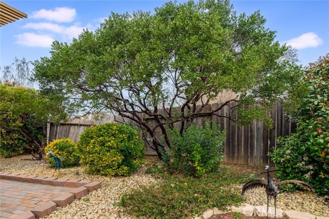 Detail Gallery Image 35 of 41 For 807 Sycamore Canyon Rd, Paso Robles,  CA 93446 - 3 Beds | 2 Baths