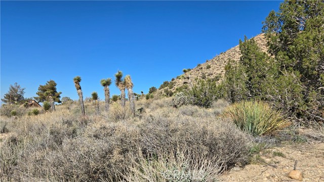 Detail Gallery Image 11 of 31 For 0 Pinon Road to Mescal Highlands, Llano,  CA 93544 - – Beds | – Baths