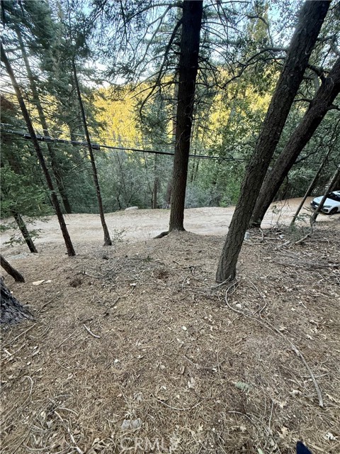 Detail Gallery Image 16 of 25 For 0 Scenic View, Crestline,  CA 92325 - – Beds | – Baths