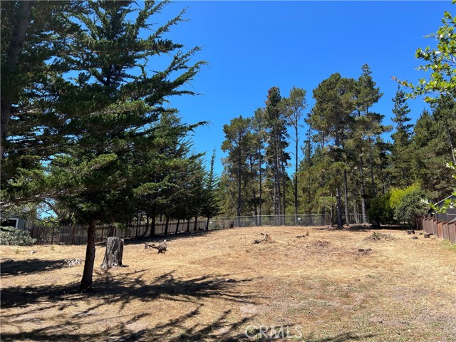 0 Warren Road, Cambria CA: https://media.crmls.org/medias/47ea613e-aa8b-4256-bf6d-599ca90ff5b7.jpg