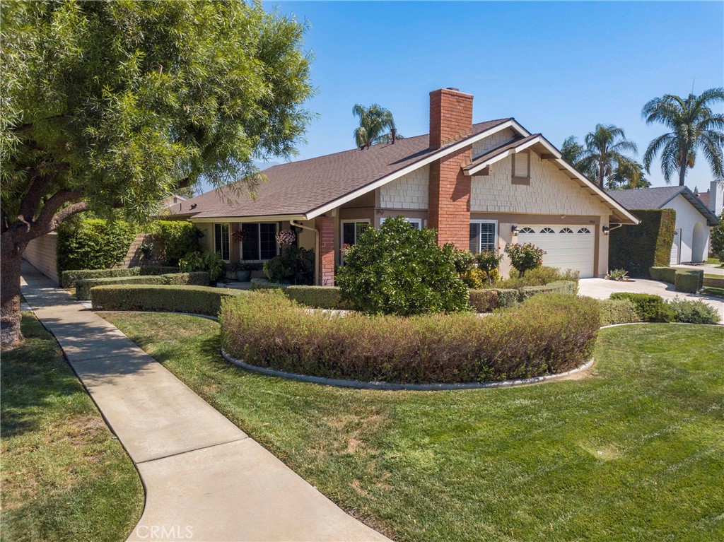 9956 Hemlock Street