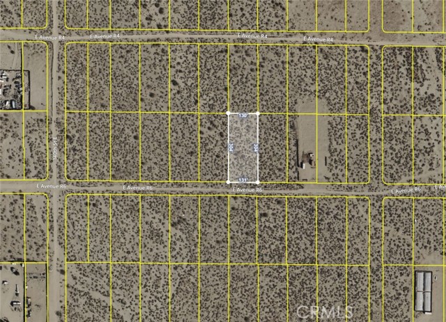 Front Image Thumbnail for CRSR24138696