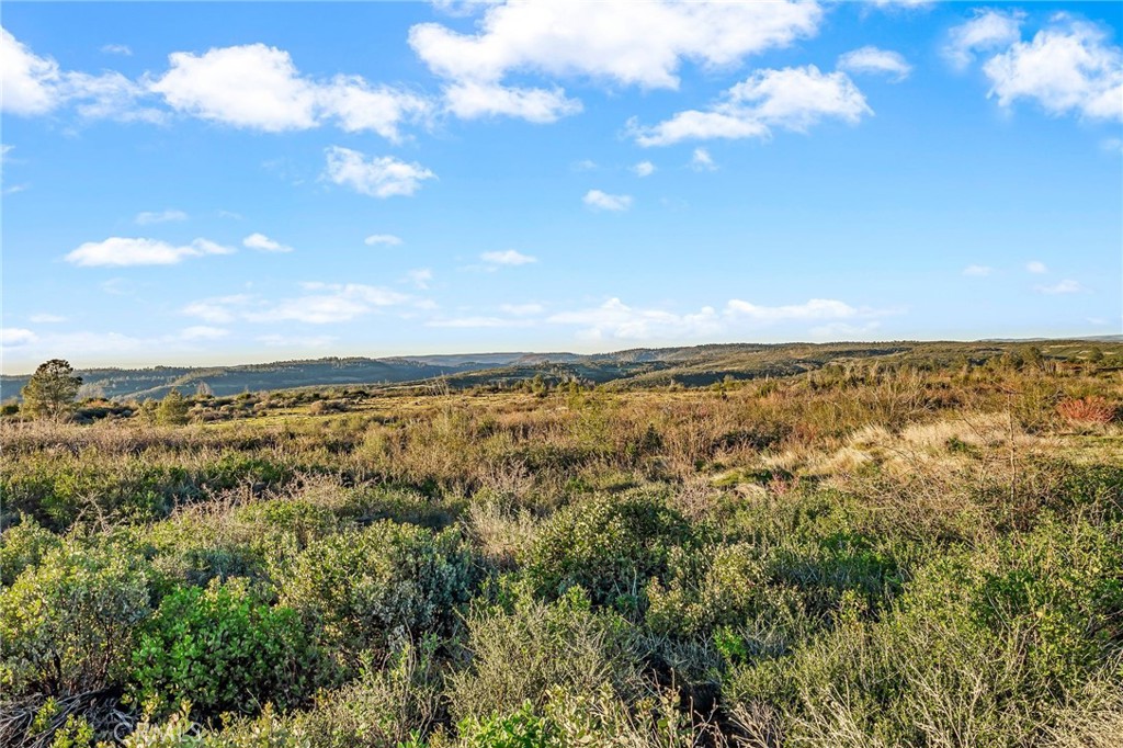 https://media.crmls.org/medias/47f69945-6d46-4f7b-a9ed-17964ab06926.jpg?preset=X-Large