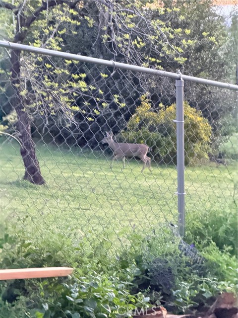 Detail Gallery Image 58 of 64 For 5129 Toyon, Paradise,  CA 95969 - 3 Beds | 3/1 Baths