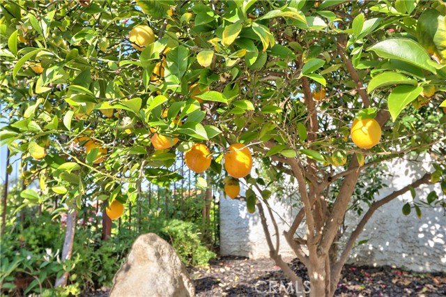 Detail Gallery Image 34 of 57 For 31384 Corte Tunas, Temecula,  CA 92592 - 5 Beds | 3 Baths