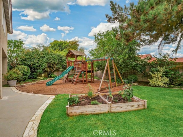 Play Structure in Backyard