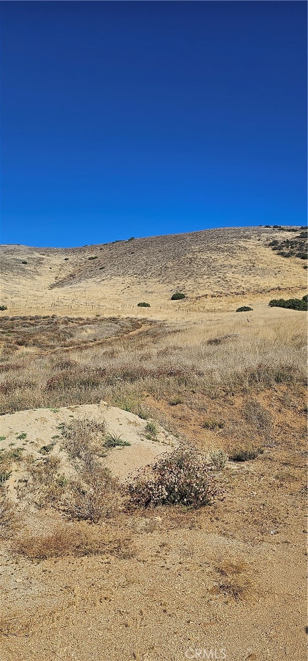 Photo of 31st Street West/Shannon Valley Road, Acton, CA 93510