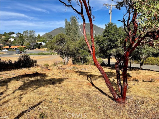 9729 Broadmoor Way, Kelseyville, California 95451, ,Land,For Sale,9729 Broadmoor Way,CRND23182464