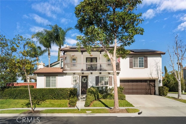 Front Image Thumbnail for CROC26028594