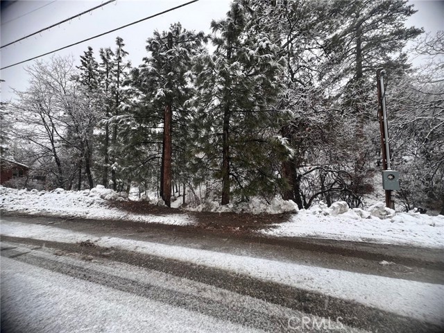 1224 Minton Drive, Big Bear City, California 92314, ,Land,For Sale,1224 Minton Drive,CREV24036820