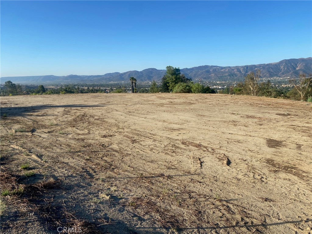 MLS #SW25264884 image #7