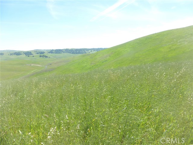 Detail Gallery Image 13 of 44 For 0 Douglas Rd. (Lot 34), San Miguel,  CA 93451 - – Beds | – Baths