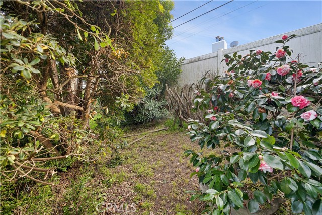 Detail Gallery Image 35 of 37 For 924 Calle Miramar, Redondo Beach,  CA 90277 - 3 Beds | 2 Baths