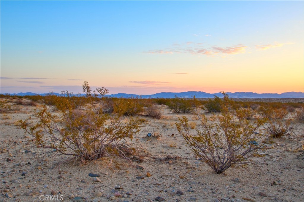 MLS #JT25071658 image #5