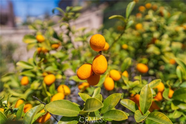 Detail Gallery Image 31 of 40 For 34278 Torrey Pines Court, Lake Elsinore,  CA 92532 - 3 Beds | 2 Baths