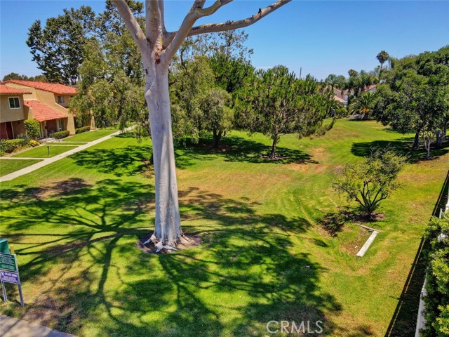 17077 Los Modelos Street, Fountain Valley CA: https://media.crmls.org/medias/4827ca8e-2d2a-4f18-bb86-42e28a6014a2.jpg