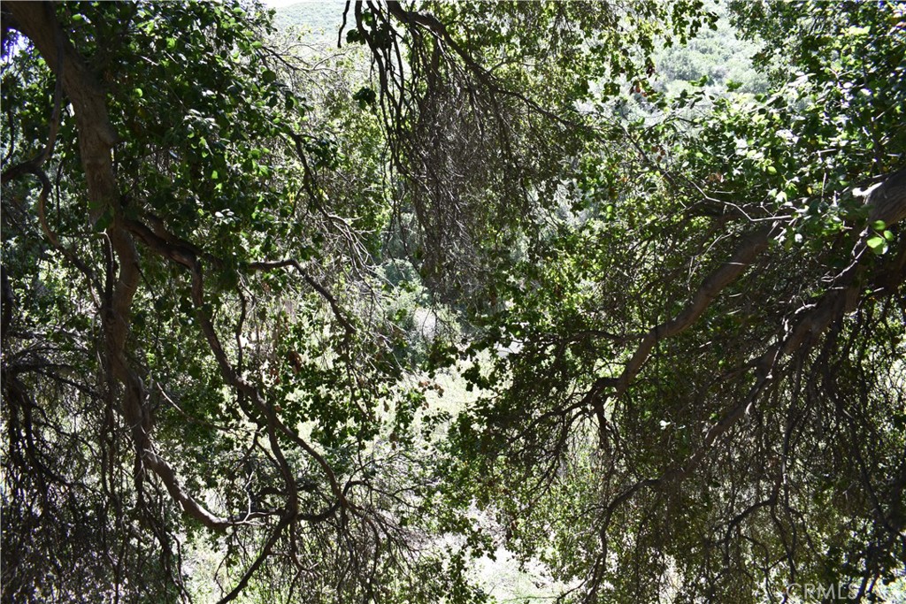 MLS #HD25051670 image #4