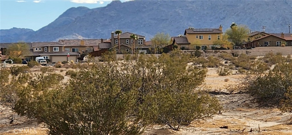 MLS #JT24003454 image #4