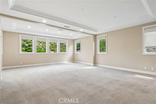11978 Ricasoli Way photo 30