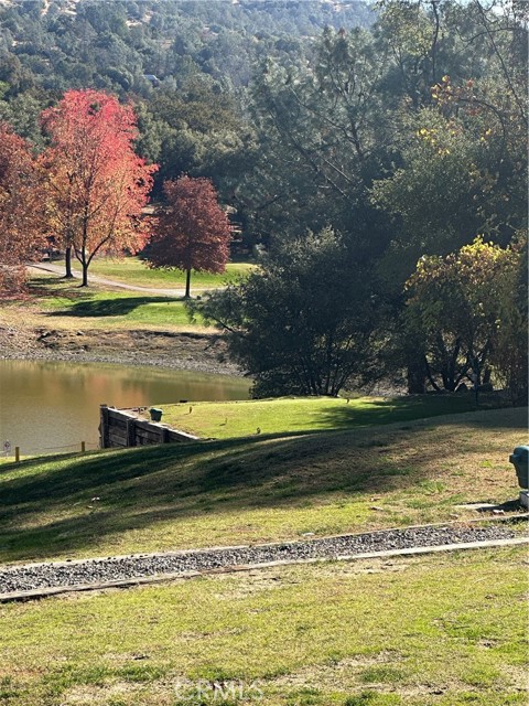 Detail Gallery Image 58 of 59 For 28923 Highway 41, Coarsegold,  CA 93614 - 3 Beds | 3 Baths