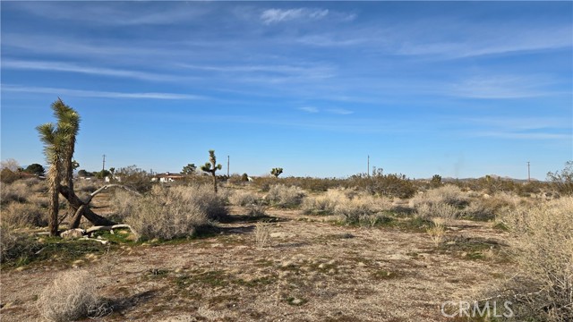 Detail Gallery Image 3 of 21 For 0 115th St East S/O Ave S, Littlerock,  CA 93543 - – Beds | – Baths