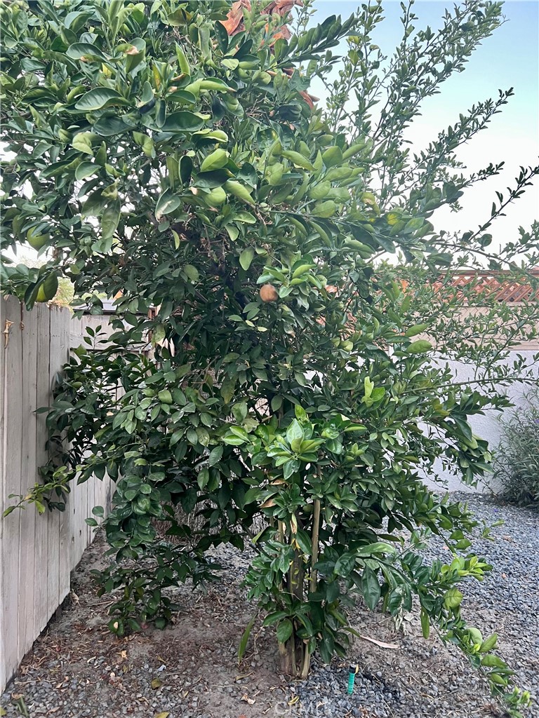 MLS #SB25246329 image #28