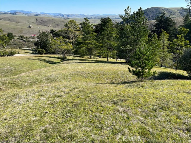 Detail Gallery Image 13 of 15 For 0 Linden Ct, Cambria,  CA 93428 - – Beds | – Baths