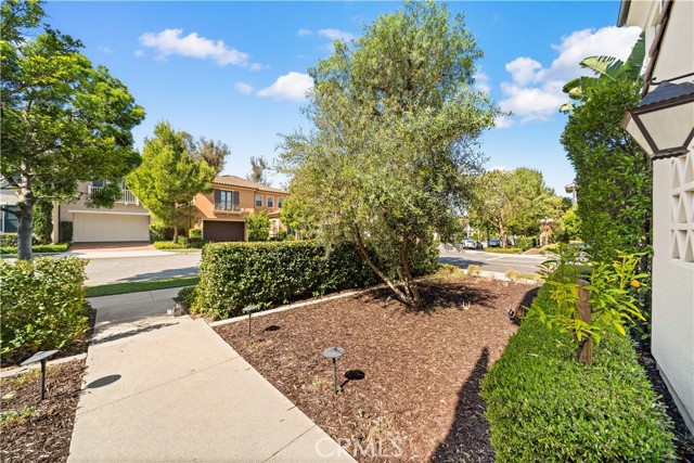 Image 61 of 75 For 100 Pumpkin  