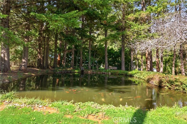 Image 35 of 49 For 13730 Nimshew Road