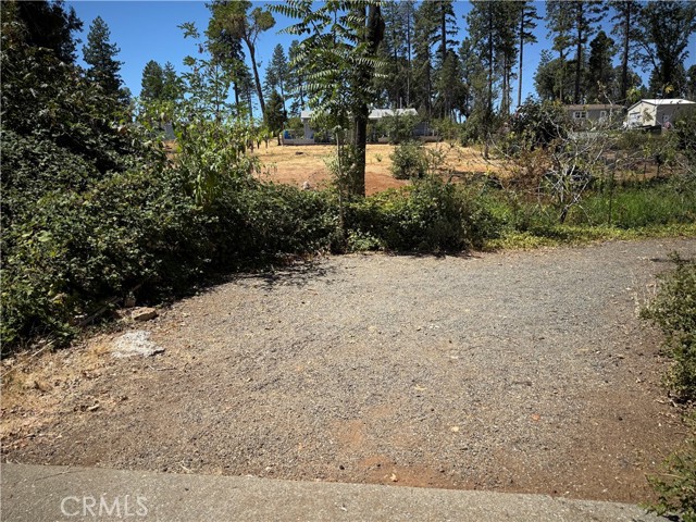 5559 Travis Road, Paradise CA: https://media.crmls.org/medias/48432cd6-5b8f-4192-b08a-1d5c1a259ab6.jpg