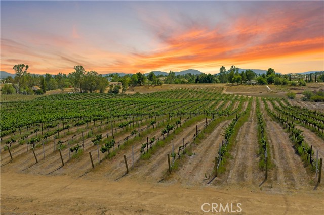 0 Berenda Road, Temecula CA: https://media.crmls.org/medias/48436cad-6edf-40bd-86ce-658524c1b81a.jpg
