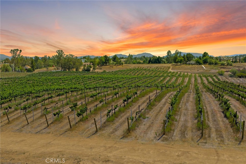 MLS #SW25161061 img 2