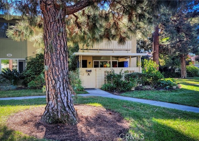 MLS# OC24089026