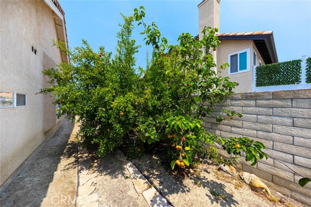 2885 Riachuelo, San Clemente CA: https://media.crmls.org/medias/484e2e80-54f0-4743-8afe-96a75cd641bc.jpg