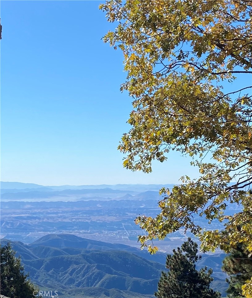https://media.crmls.org/medias/485407df-9e79-46c5-ac05-b841189c6bb2.jpg?preset=X-Large