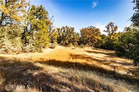 Detail Gallery Image 38 of 54 For 4816 Stumpfield Mountain Rd, Mariposa,  CA 95338 - 2 Beds | 2 Baths