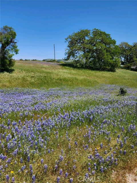 4560 Potrero, Atascadero CA: https://media.crmls.org/medias/48559160-5854-4908-b7c5-7e0032d88616.jpg