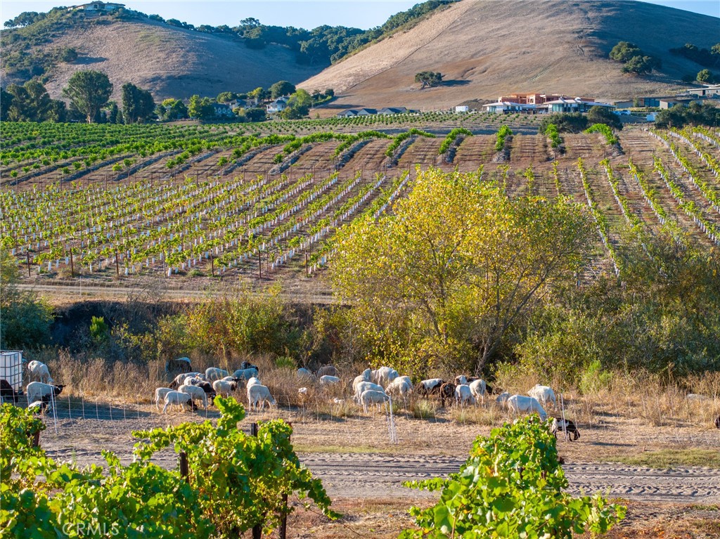 MLS #NS25194884 image #29