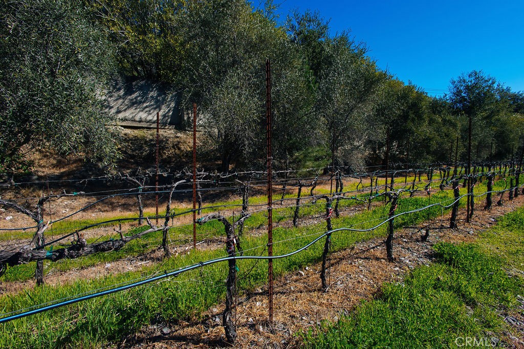 4860C032 758F 4A64 80Ca 8Da8503D8533 1001 Silverado Trail South, St. Helena, Ca 94574 &Lt;Span Style='BackgroundColor:transparent;Padding:0Px;'&Gt; &Lt;Small&Gt; &Lt;I&Gt; &Lt;/I&Gt; &Lt;/Small&Gt;&Lt;/Span&Gt;