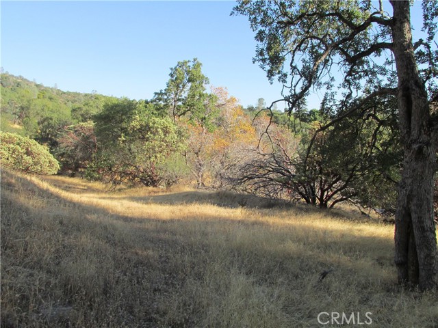 Detail Gallery Image 46 of 54 For 2 Ac Old Oaks Ct, North Fork,  CA 93643 - – Beds | – Baths