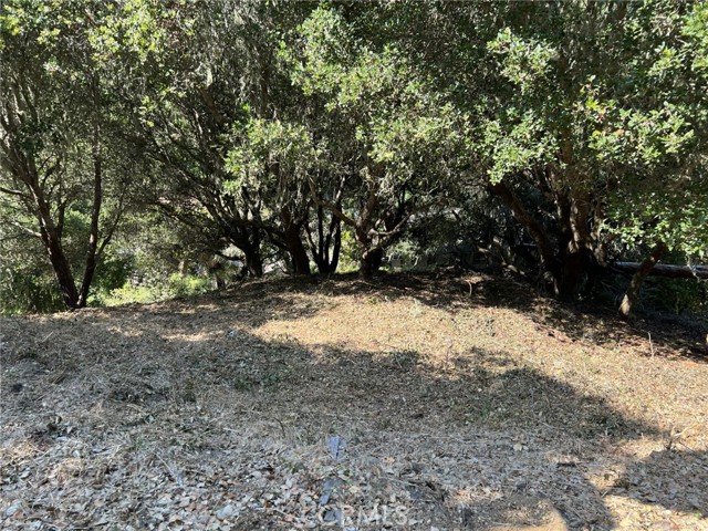 0 Hillcrest Drive, Cambria, California 93428, ,Land,For Sale,0 Hillcrest Drive,CRSC22073549