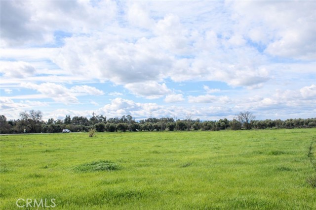 Detail Gallery Image 6 of 9 For 3781 Columbia, Corning,  CA 96021 - – Beds | – Baths