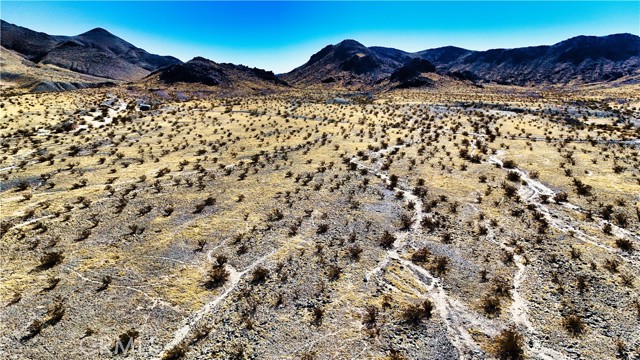 Detail Gallery Image 39 of 42 For 75777 Riverside Rd, Newberry Springs,  CA 92365 - – Beds | – Baths