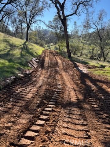 Detail Gallery Image 12 of 14 For 1484 Oregon Gulch Rd, Oroville,  CA 95965 - – Beds | – Baths