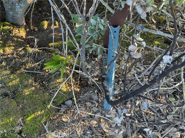 Detail Gallery Image 2 of 25 For 0 Long Hollow Lot 1631, Coarsegold,  CA 93614 - – Beds | – Baths