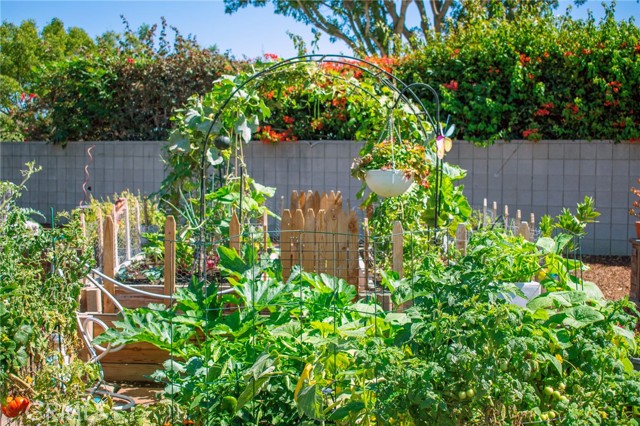 Detail Gallery Image 40 of 51 For 1462 Merion Way M2 - 30k,  Seal Beach,  CA 90740 - 2 Beds | 2 Baths